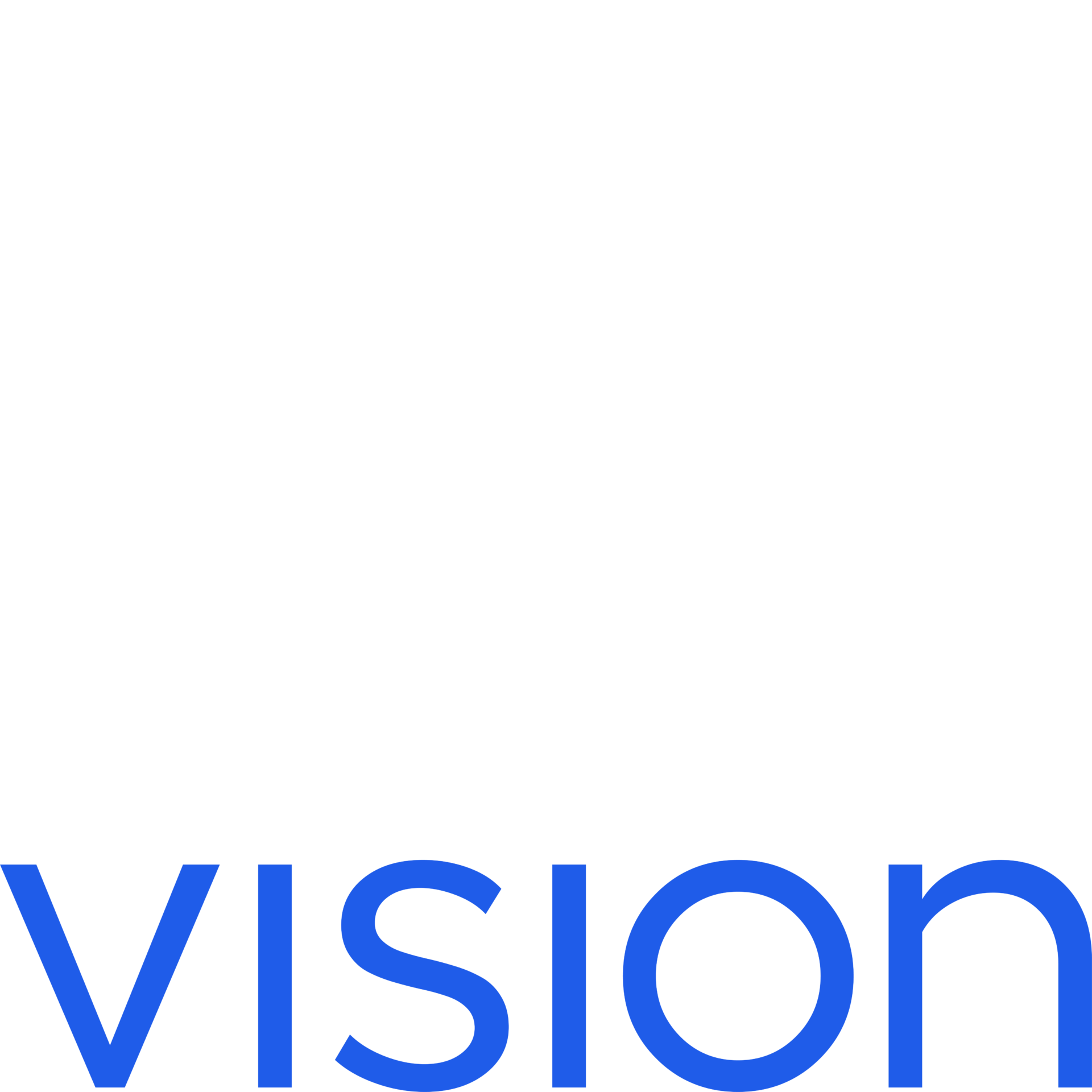 LOGO_VISION BLU@4x LOGO_VISION BLU@4x